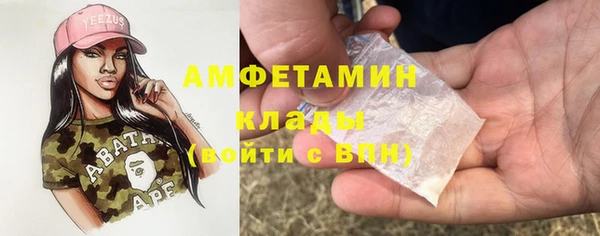 молекула духа Алексеевка