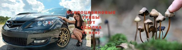 амф Алзамай