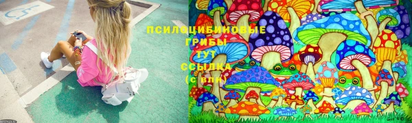 амф Алзамай